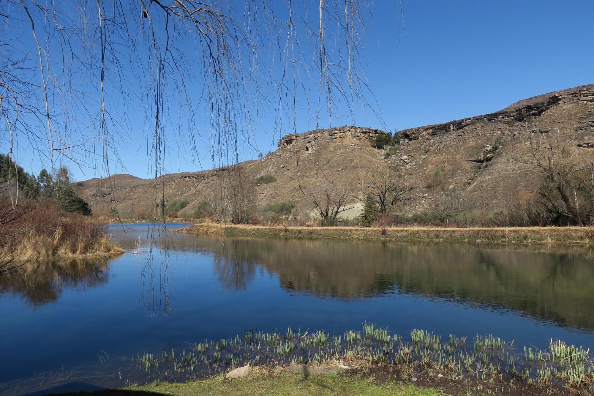 Mkomazana Mountain Cottages Himeville Buitenkant foto