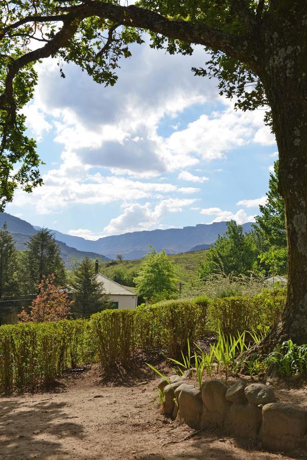Mkomazana Mountain Cottages Himeville Buitenkant foto