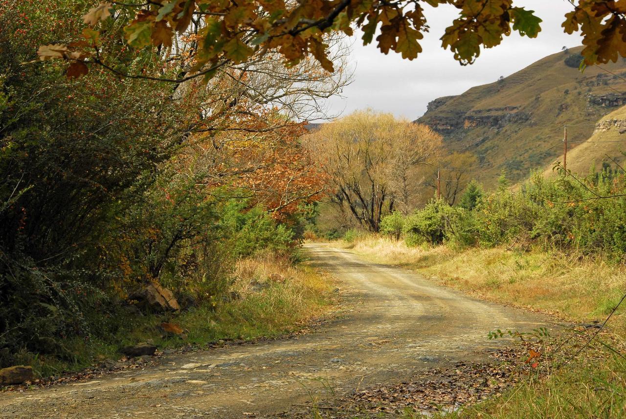 Mkomazana Mountain Cottages Himeville Buitenkant foto